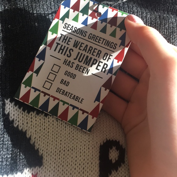 Grey sweater - Picture 3 of 4